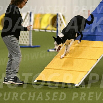 Ice-Jennifer-Walsh-07339