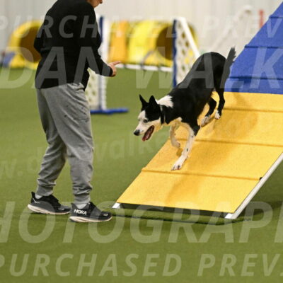 Ice-Jennifer-Walsh-07340