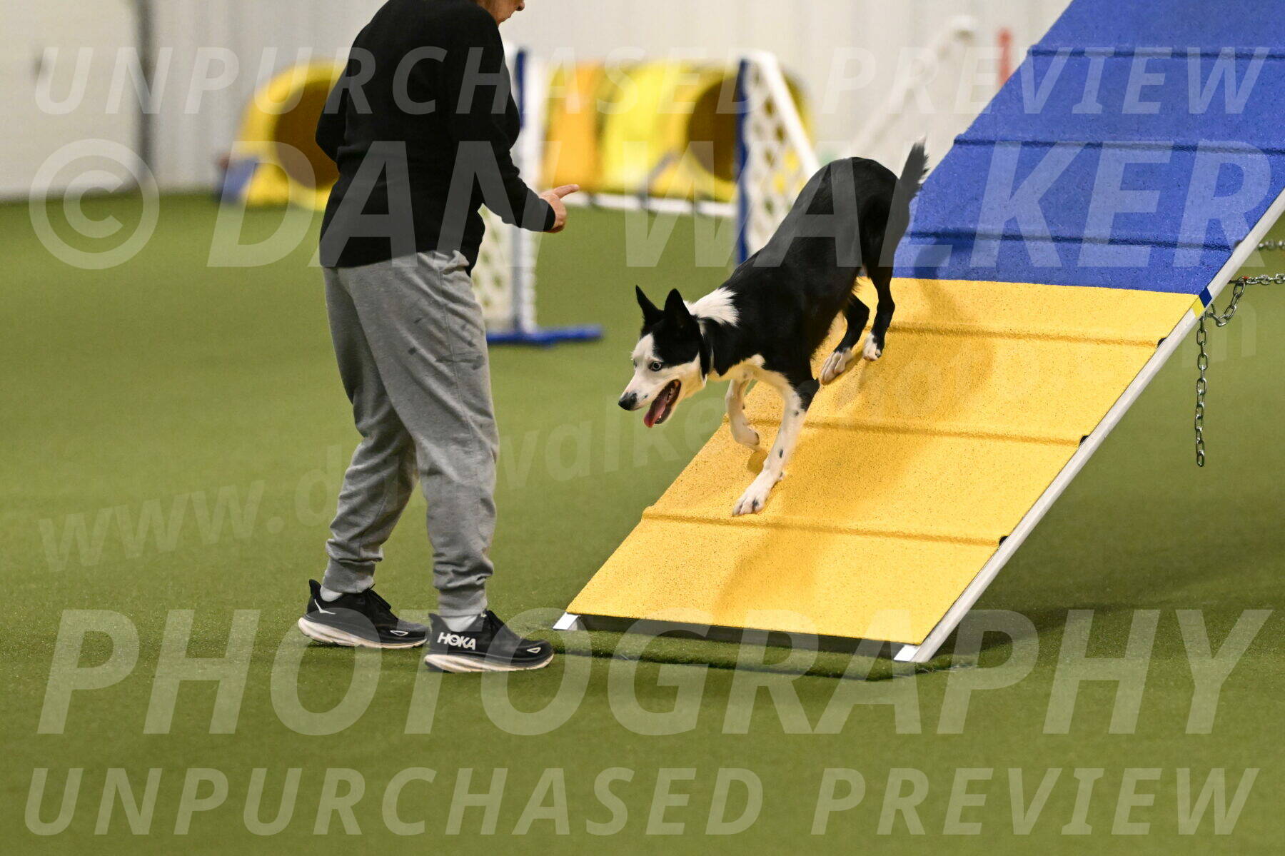 Ice-Jennifer-Walsh-07340