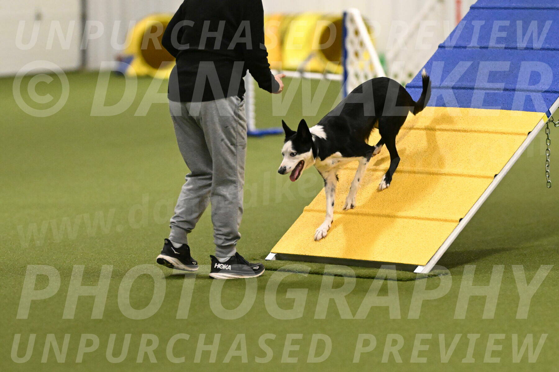 Ice-Jennifer-Walsh-07341