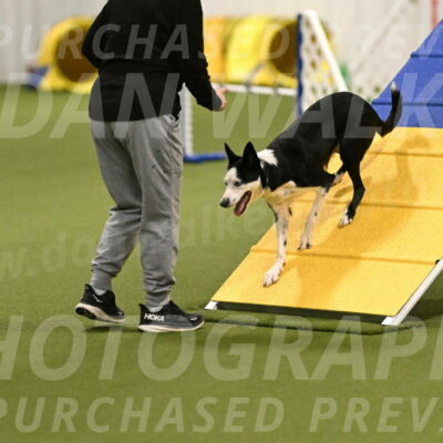 Ice-Jennifer-Walsh-07341