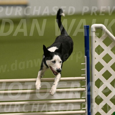 Ice-Jennifer-Walsh-07342