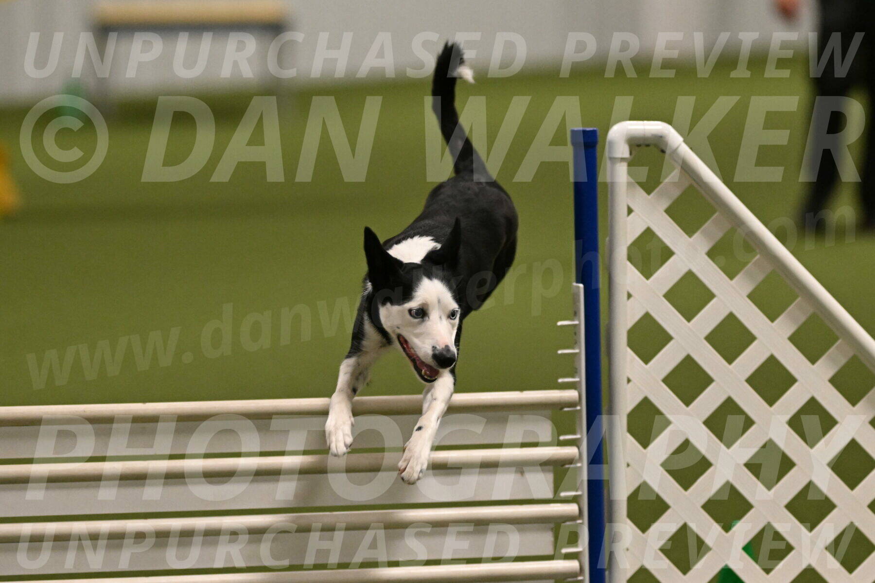 Ice-Jennifer-Walsh-07342