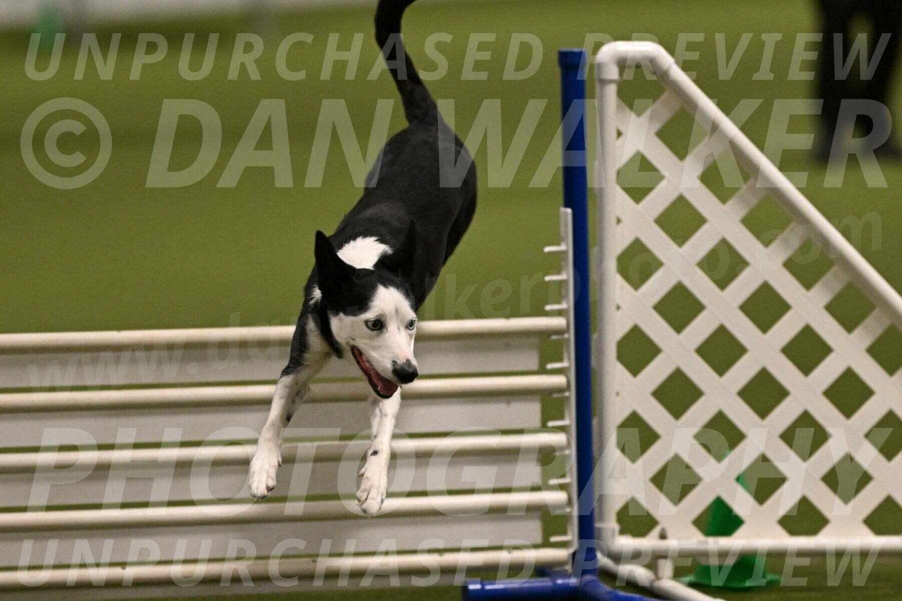 Ice-Jennifer-Walsh-07343