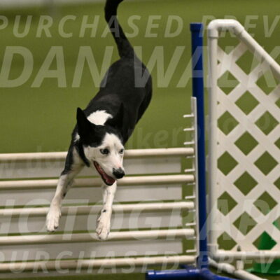 Ice-Jennifer-Walsh-07343