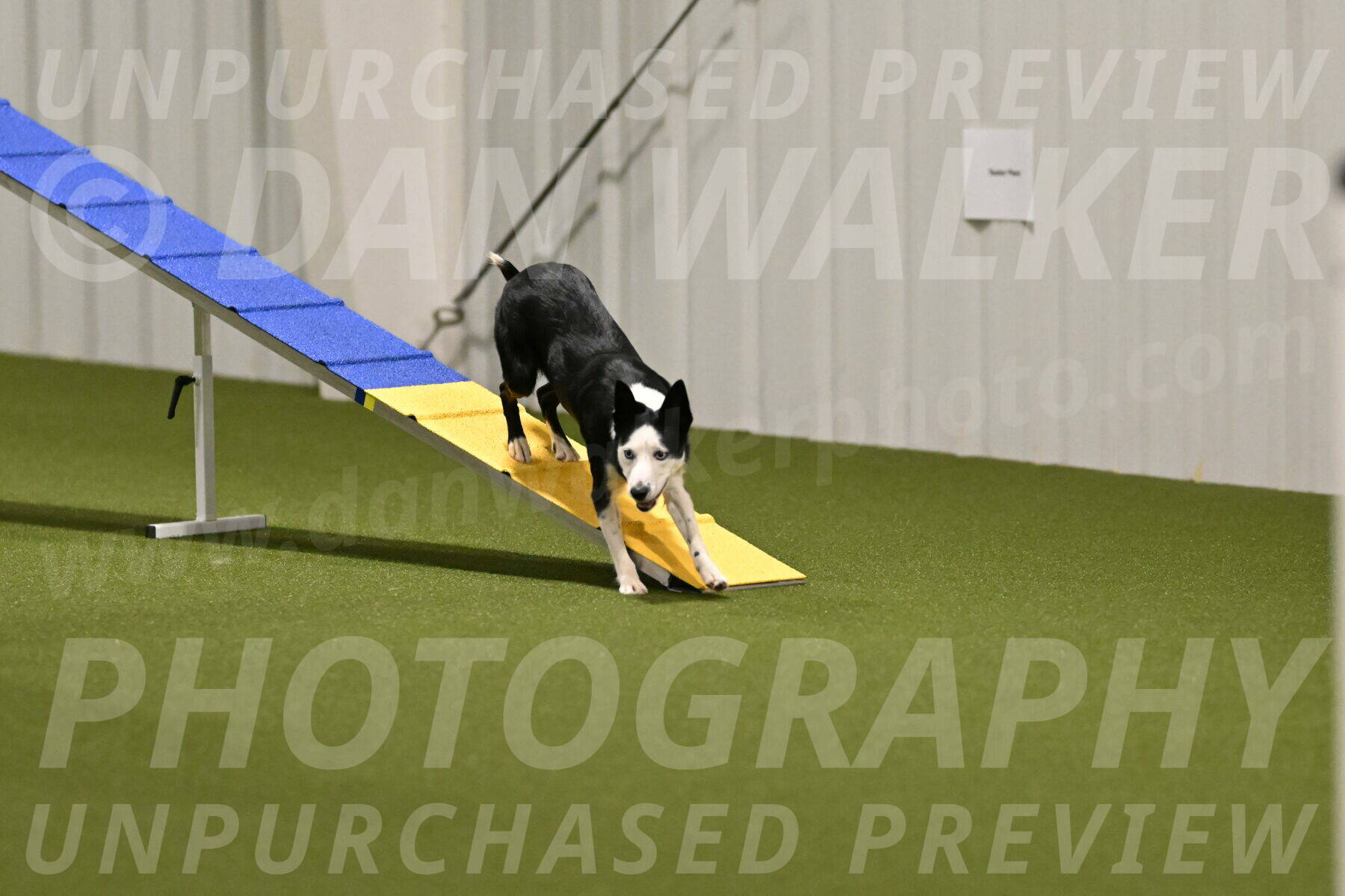 Ice-Jennifer-Walsh-07344