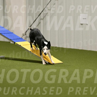 Ice-Jennifer-Walsh-07344