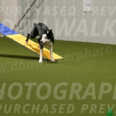 Ice-Jennifer-Walsh-07345