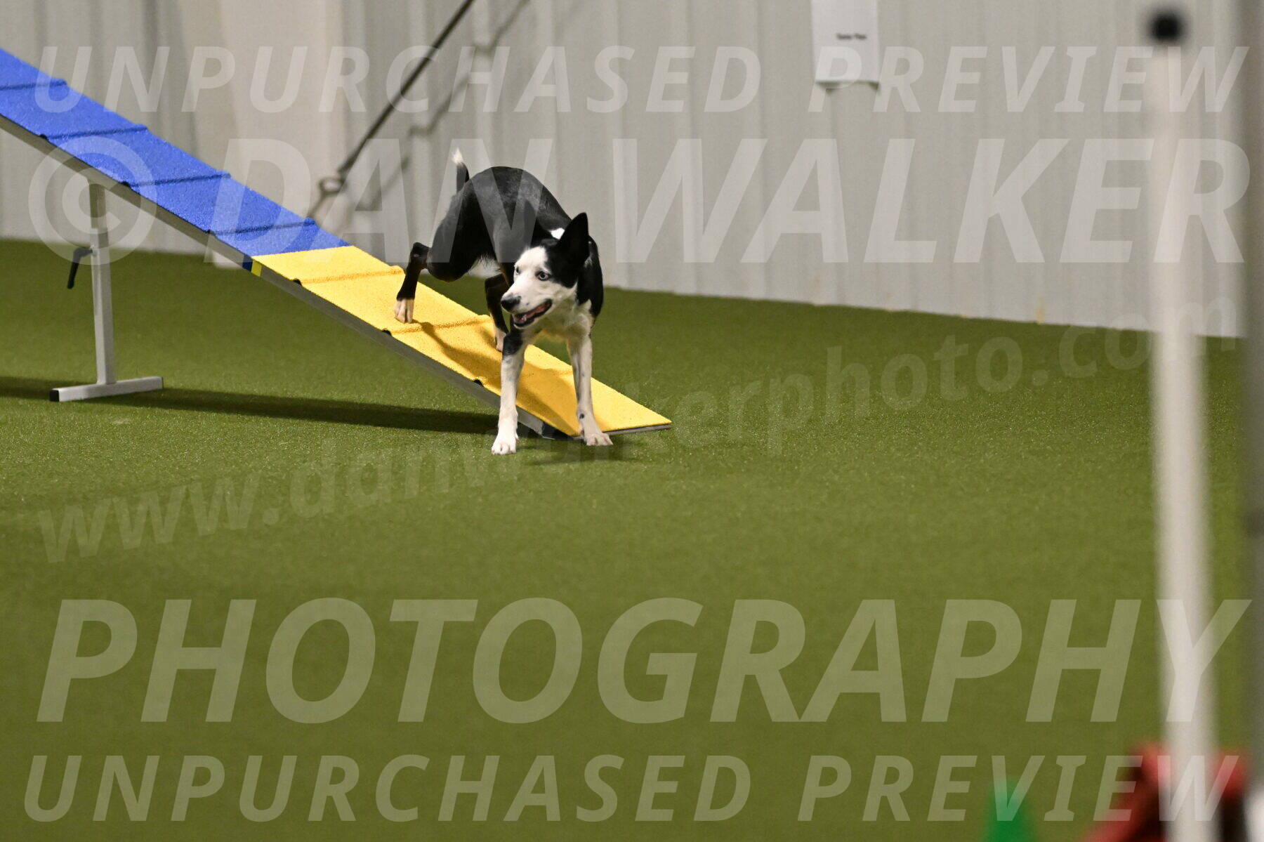 Ice-Jennifer-Walsh-07345