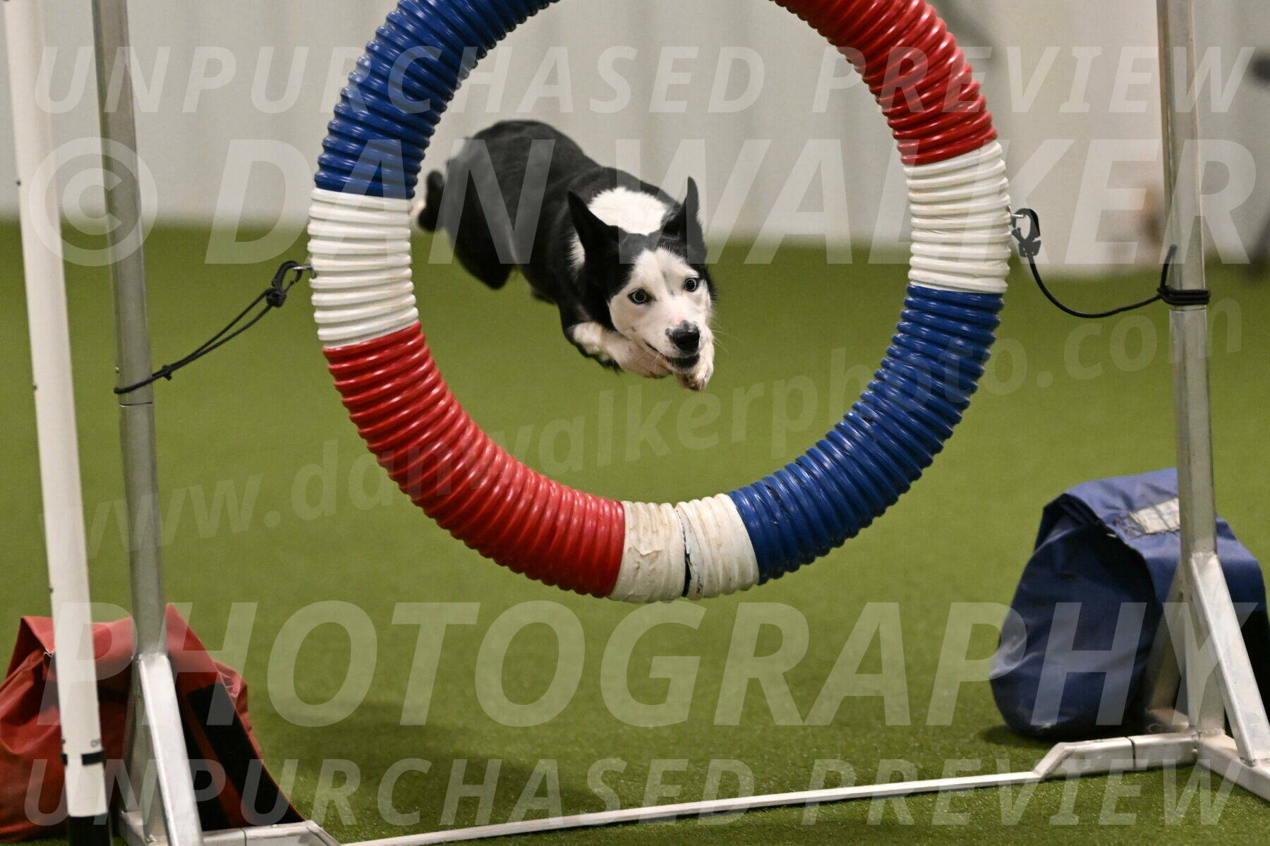 Ice-Jennifer-Walsh-07346