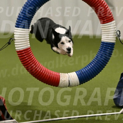 Ice-Jennifer-Walsh-07346