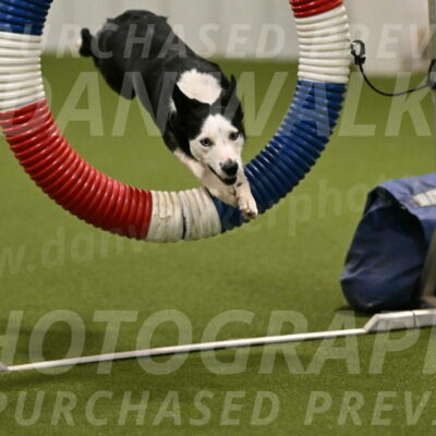 Ice-Jennifer-Walsh-07347