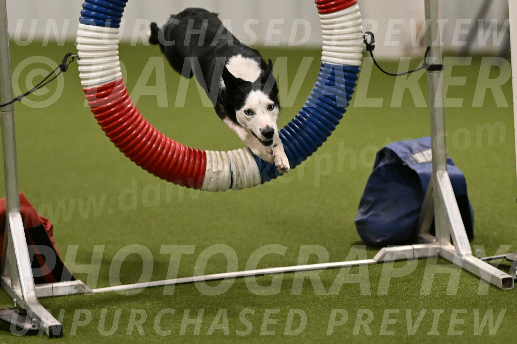 Ice-Jennifer-Walsh-07347