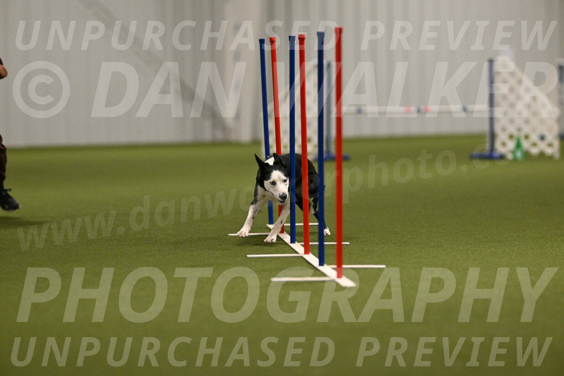 Ice-Jennifer-Walsh-07348