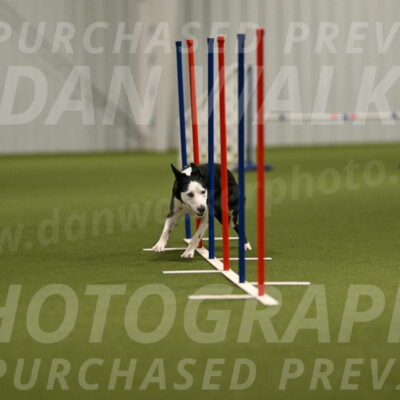 Ice-Jennifer-Walsh-07348