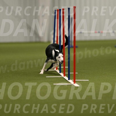 Ice-Jennifer-Walsh-07349