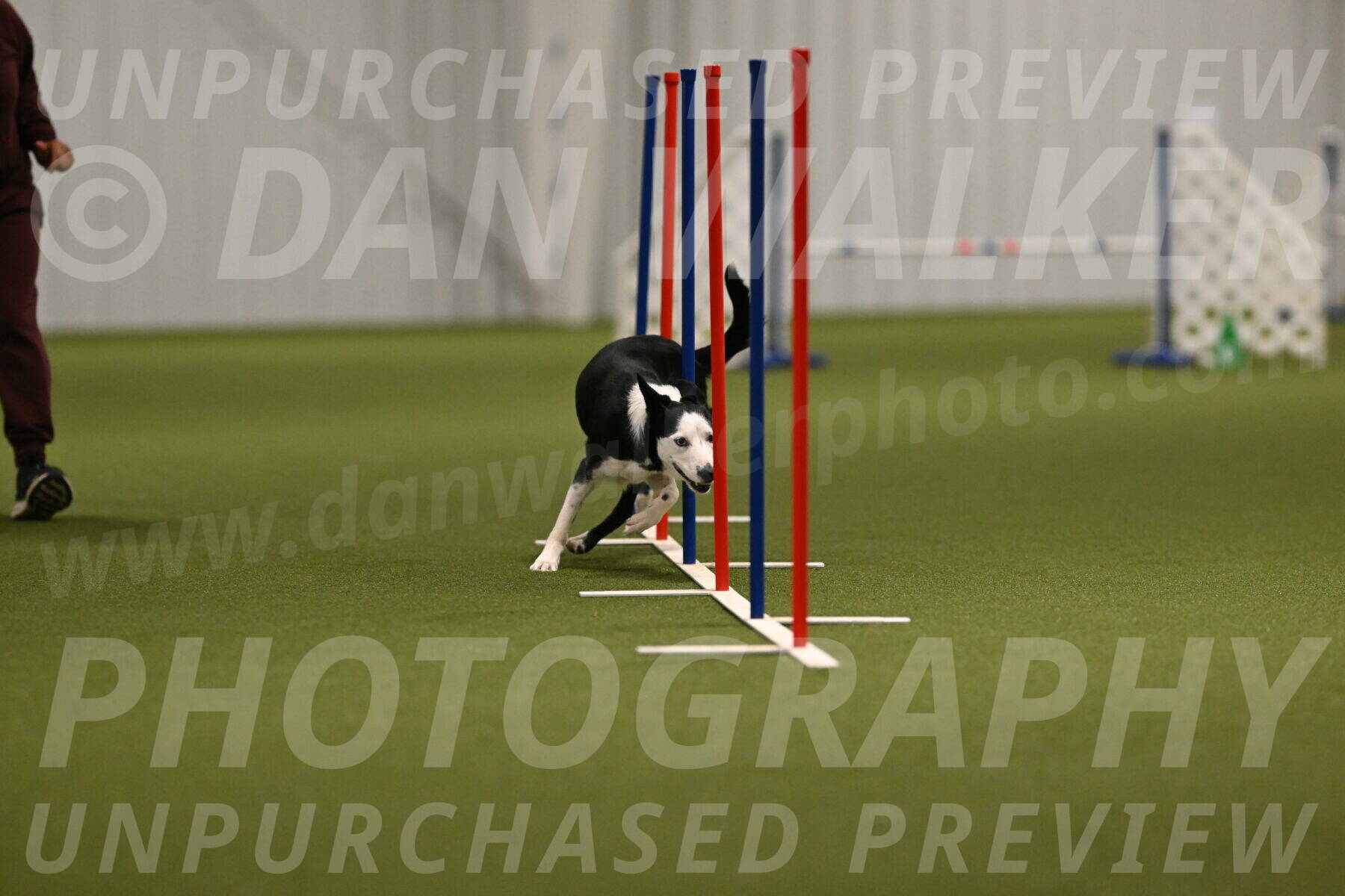 Ice-Jennifer-Walsh-07349