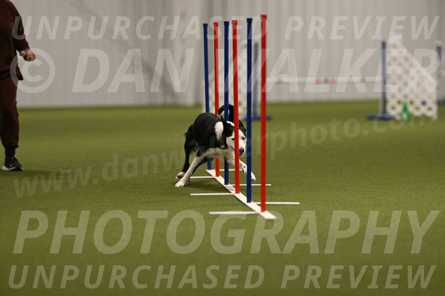 Ice-Jennifer-Walsh-07350