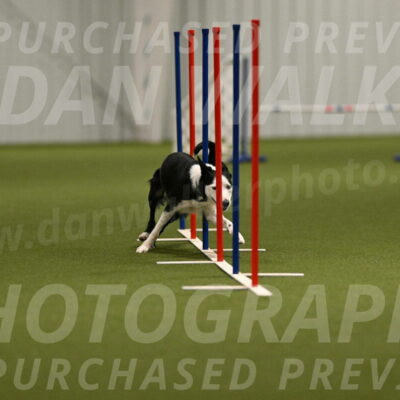 Ice-Jennifer-Walsh-07350