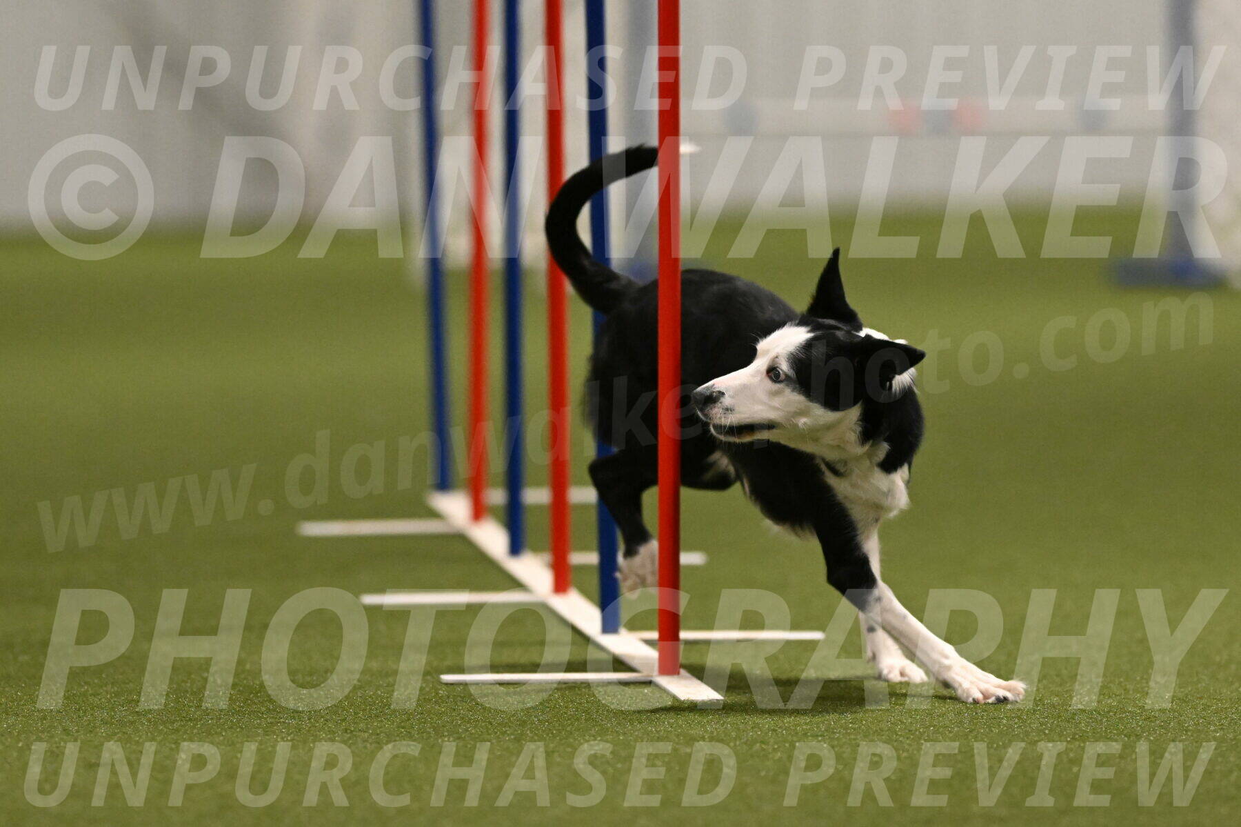 Ice-Jennifer-Walsh-07351