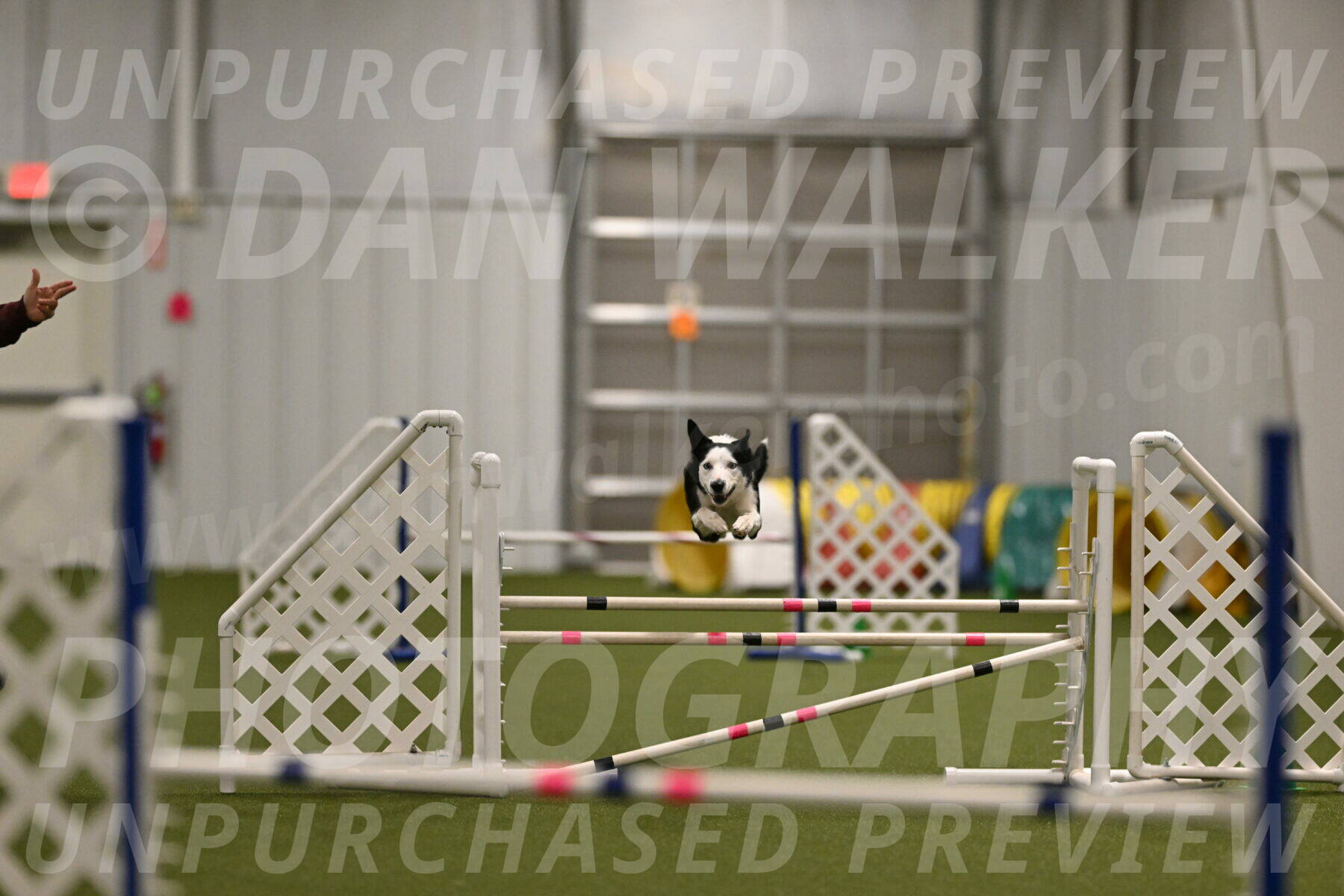 Ice-Jennifer-Walsh-07352