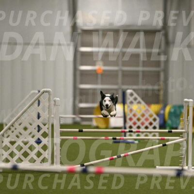 Ice-Jennifer-Walsh-07352