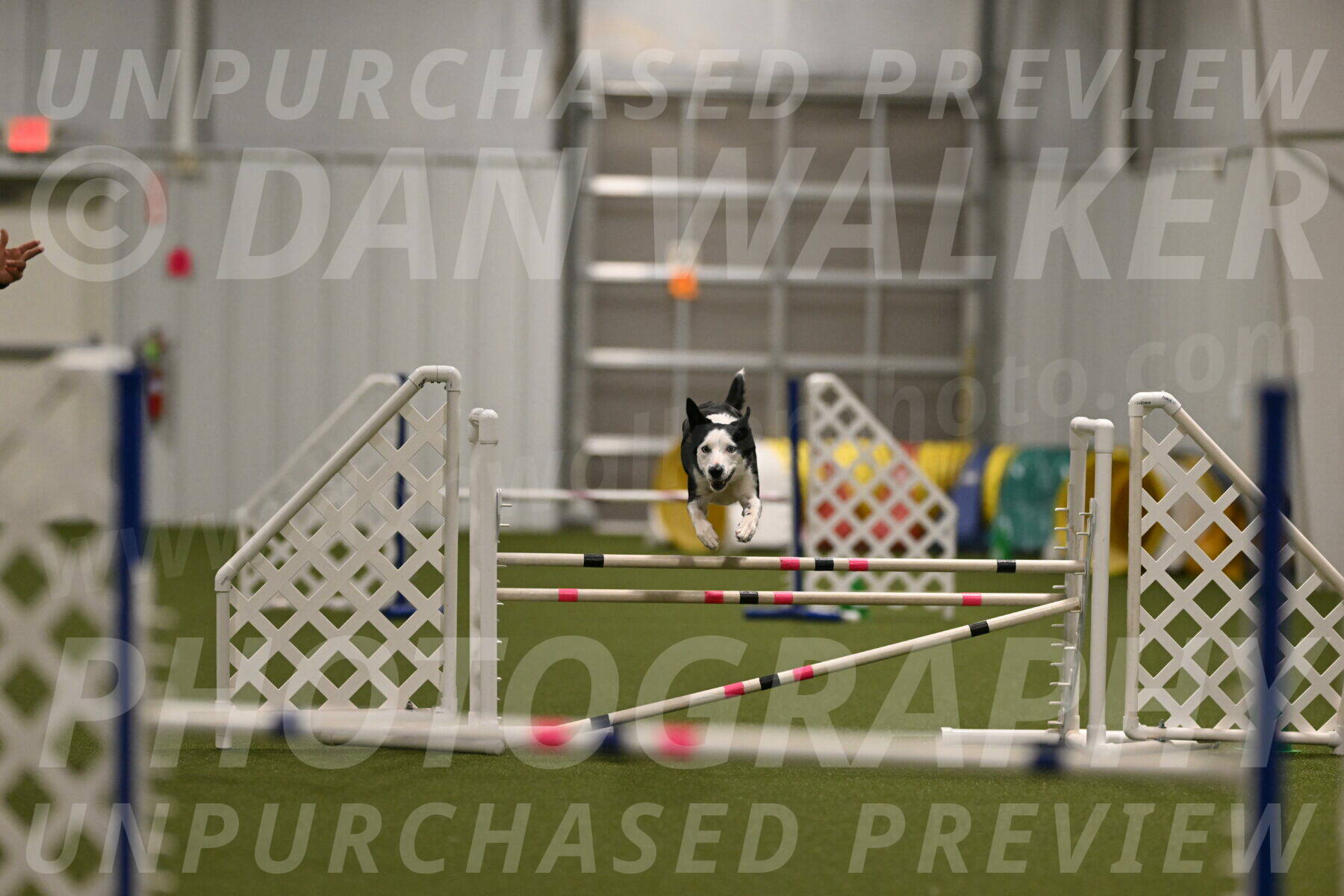 Ice-Jennifer-Walsh-07353