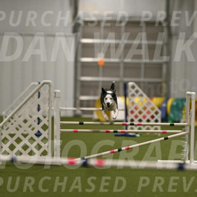 Ice-Jennifer-Walsh-07353