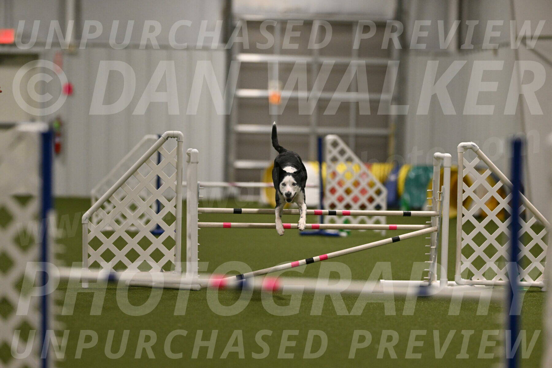 Ice-Jennifer-Walsh-07354