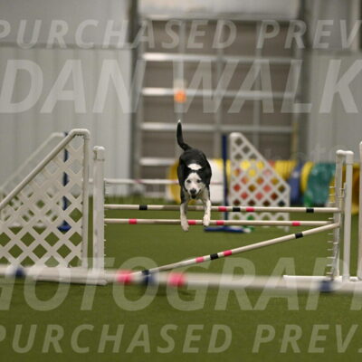 Ice-Jennifer-Walsh-07354