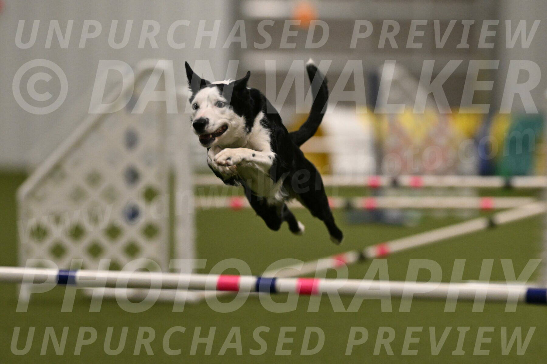 Ice-Jennifer-Walsh-07355