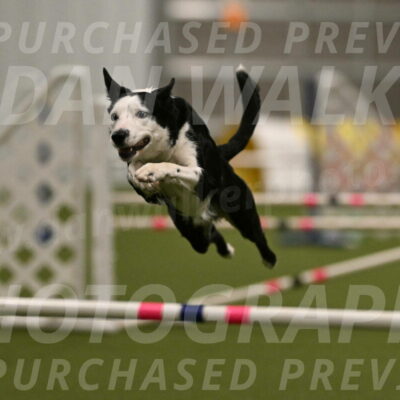 Ice-Jennifer-Walsh-07355