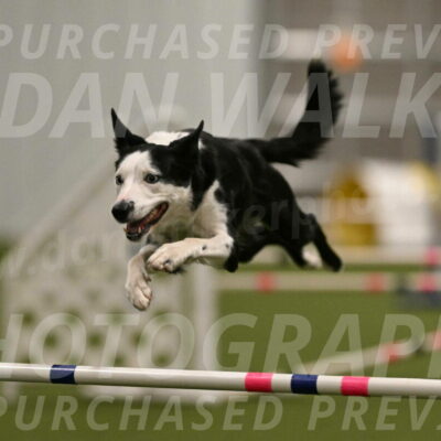 Ice-Jennifer-Walsh-07356