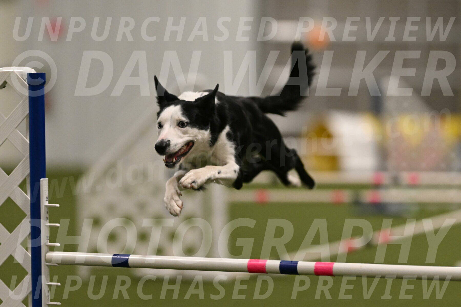 Ice-Jennifer-Walsh-07356