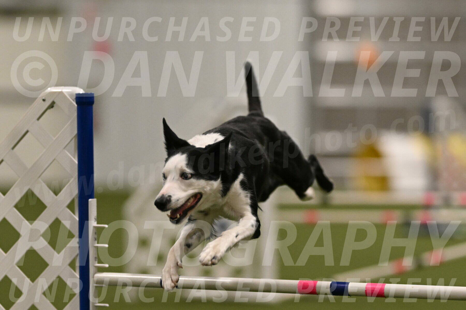 Ice-Jennifer-Walsh-07357