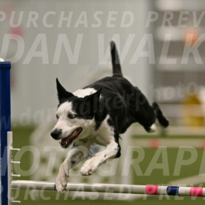 Ice-Jennifer-Walsh-07357