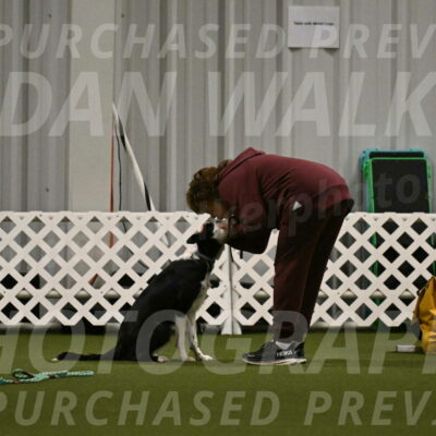 Ice-Jennifer-Walsh-07358