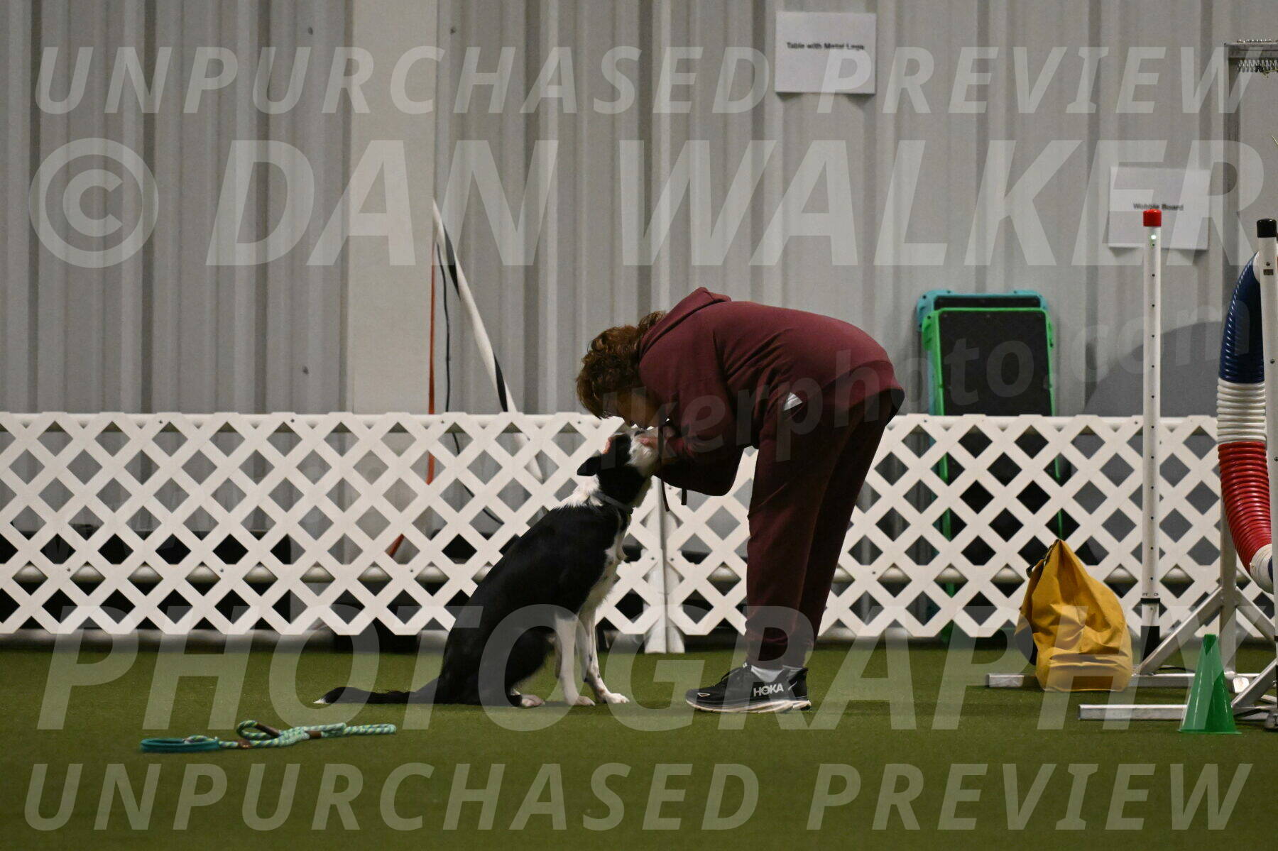 Ice-Jennifer-Walsh-07358