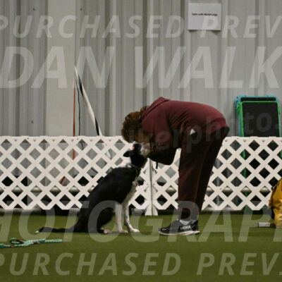 Ice-Jennifer-Walsh-07360