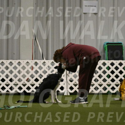 Ice-Jennifer-Walsh-07361