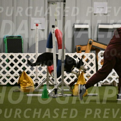 Ice-Jennifer-Walsh-07363