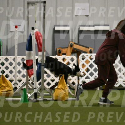 Ice-Jennifer-Walsh-07364