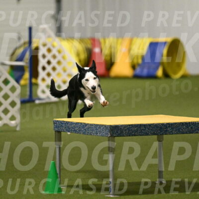 Ice-Jennifer-Walsh-07366