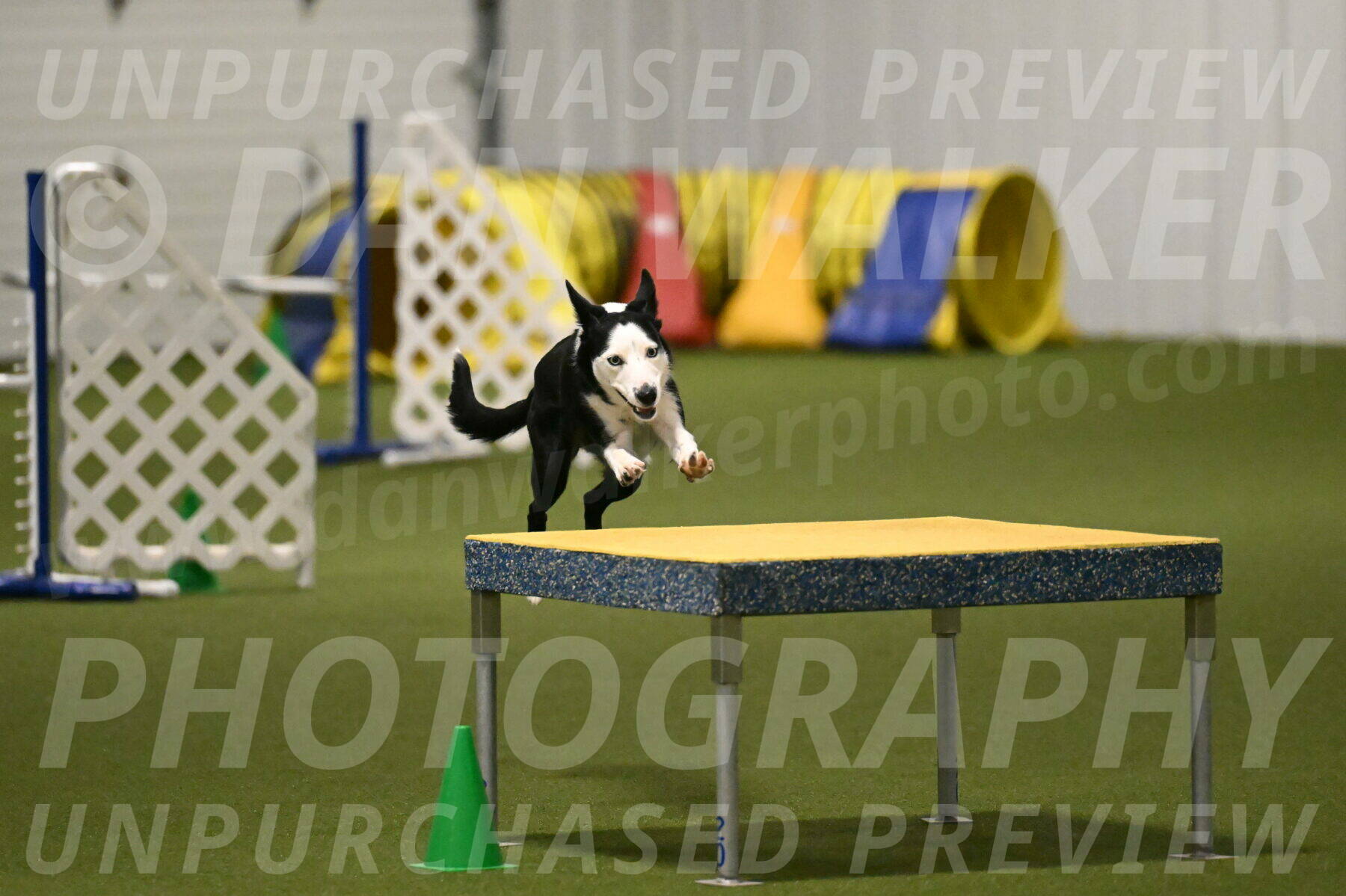 Ice-Jennifer-Walsh-07366