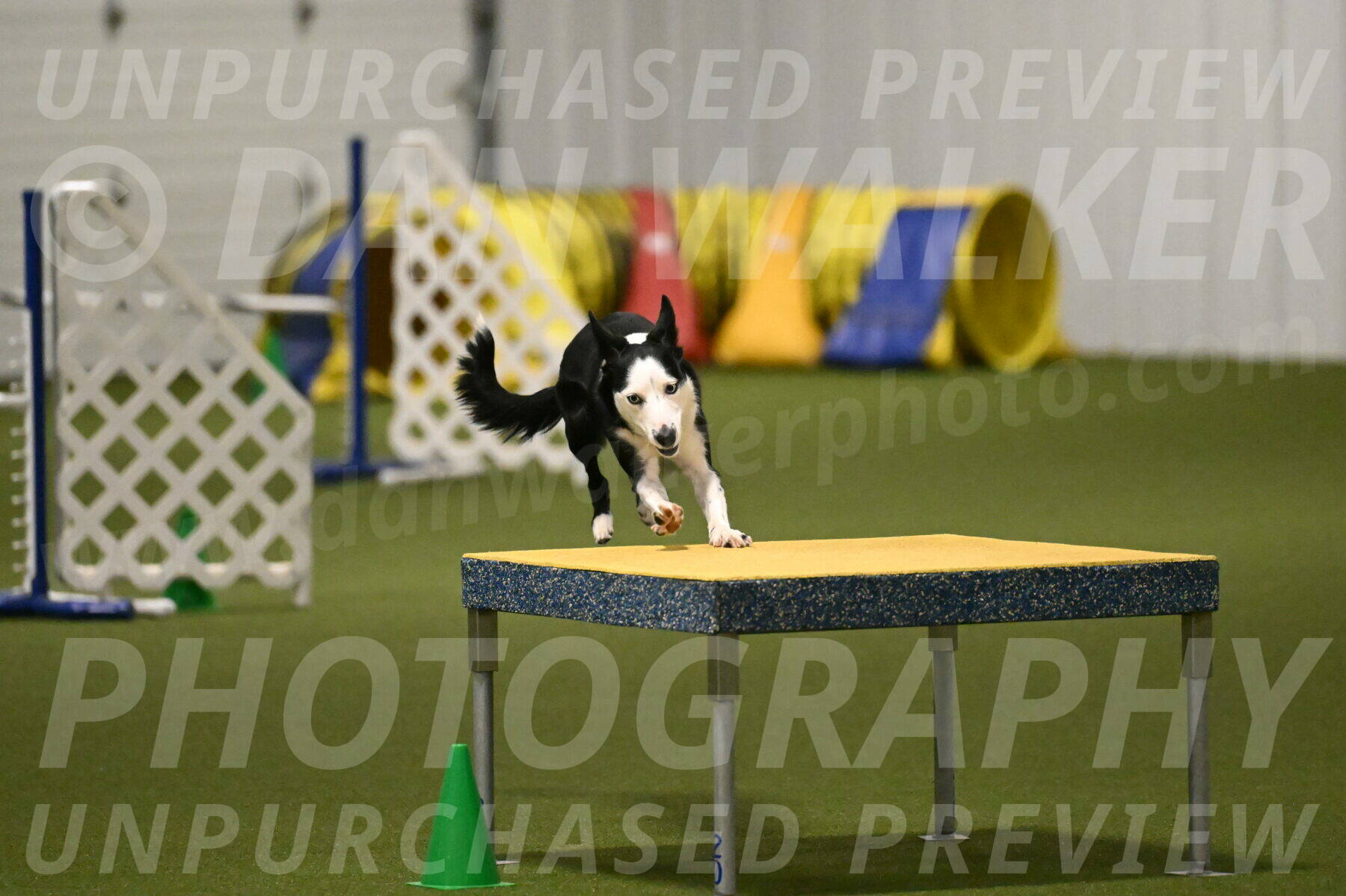 Ice-Jennifer-Walsh-07367