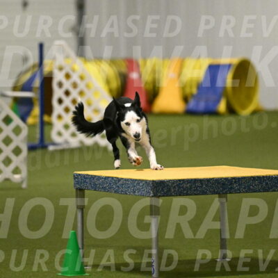 Ice-Jennifer-Walsh-07367