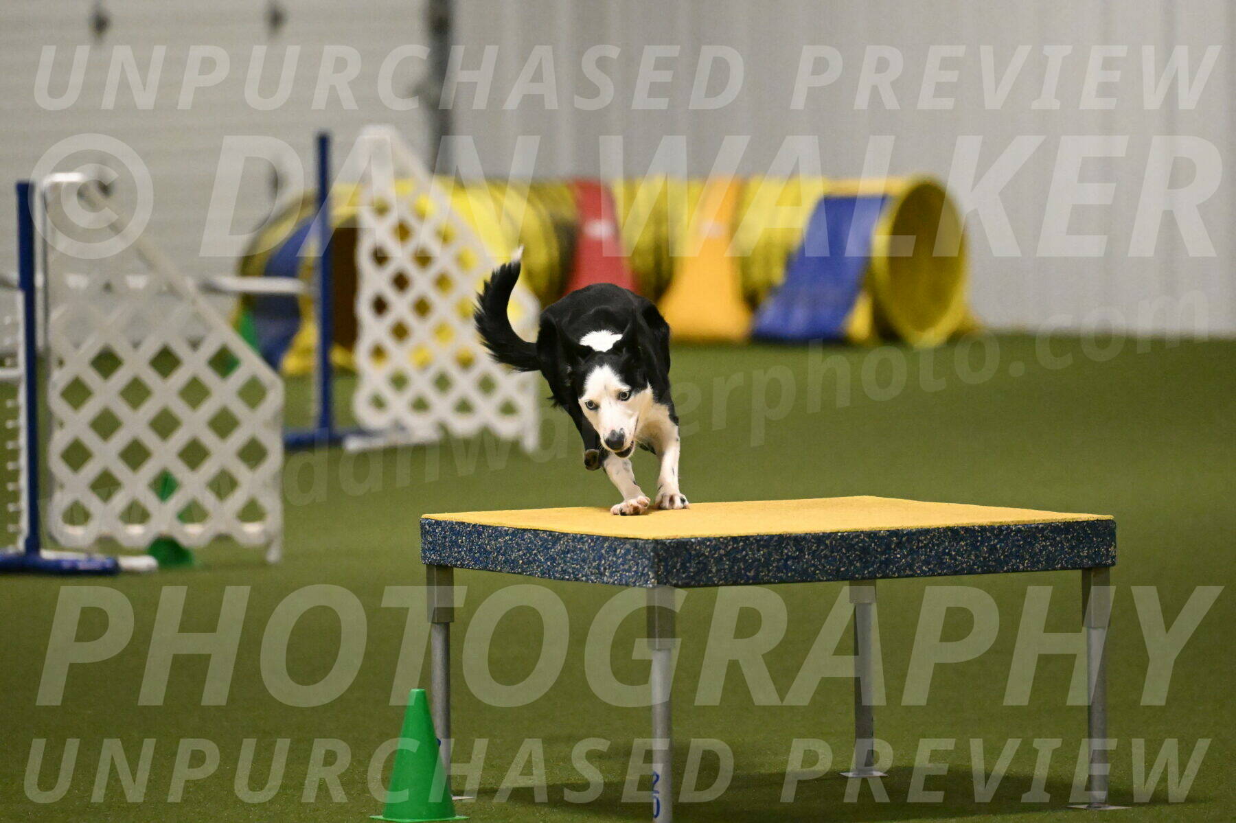 Ice-Jennifer-Walsh-07368