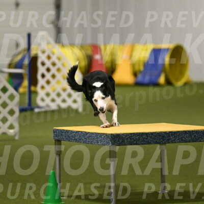 Ice-Jennifer-Walsh-07368