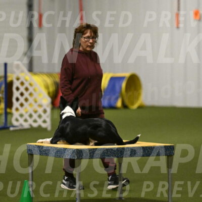 Ice-Jennifer-Walsh-07369