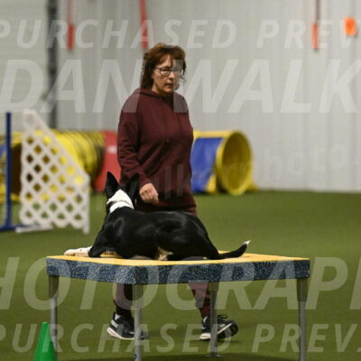 Ice-Jennifer-Walsh-07370